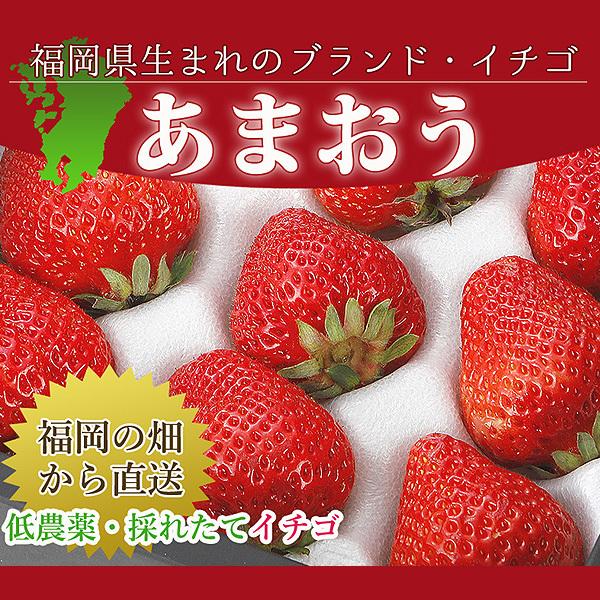 低農薬 福岡 あまおう 苺 いちご 贈答用 2パック 540g 大粒 産地直送 ギフト ama