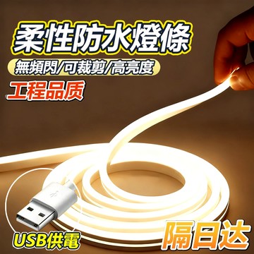 現貨🔥LED防水燈條 COB柔性燈條 氛圍燈條 矽膠燈條 軟條燈帶 5V USB燈條 客製化燈帶 露營燈帶 防水燈條