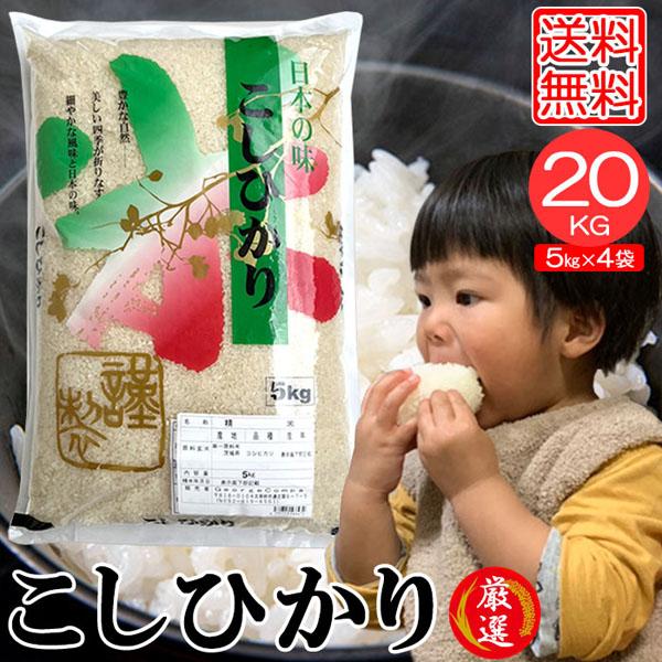 米20kg 米 お米 20kg コシヒカリ こしひかり 5kg×4袋 セット 送料無料 こめ 白米 精米 小分け 宮崎県産