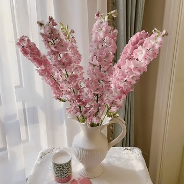 【台灣現貨】飛燕草種子｜高聳花穗 藍紫仙氣｜切花瓶插 庭院焦點 陽台庭院花海四季花種易活花種籽進口混色翠雀花籽