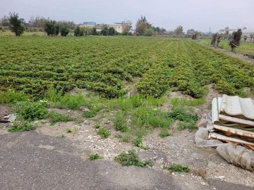仁德臨路方正美農地｜苗栗縣後龍鎮大山腳