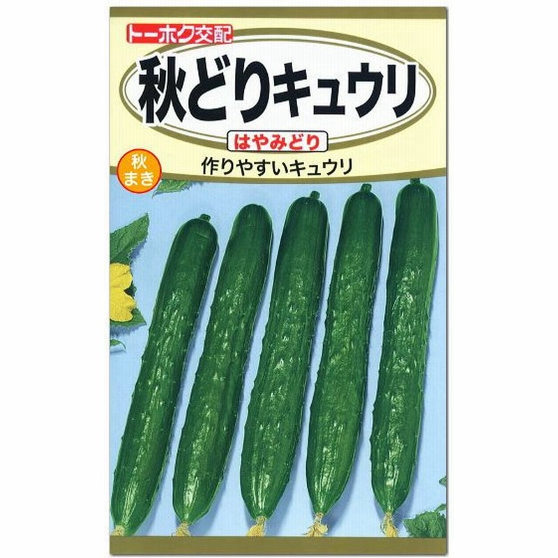 トーホク 秋どりキュウリ はやみどり 種 きゅうり たね タネ 種子 家庭菜園 メール便対応 通販 Lineポイント最大0 5 Get Lineショッピング
