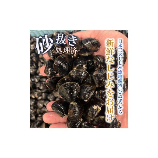 ふるさと納税 茨城県 大洗町 訳あり 涸沼産 中粒 冷凍 シジミ 2.4kg （400ｇ×6袋） しじみ 蜆 大和しじみ ヤマトシジミ 大玉 砂抜き済 冷凍 味噌汁 スープ 魚…