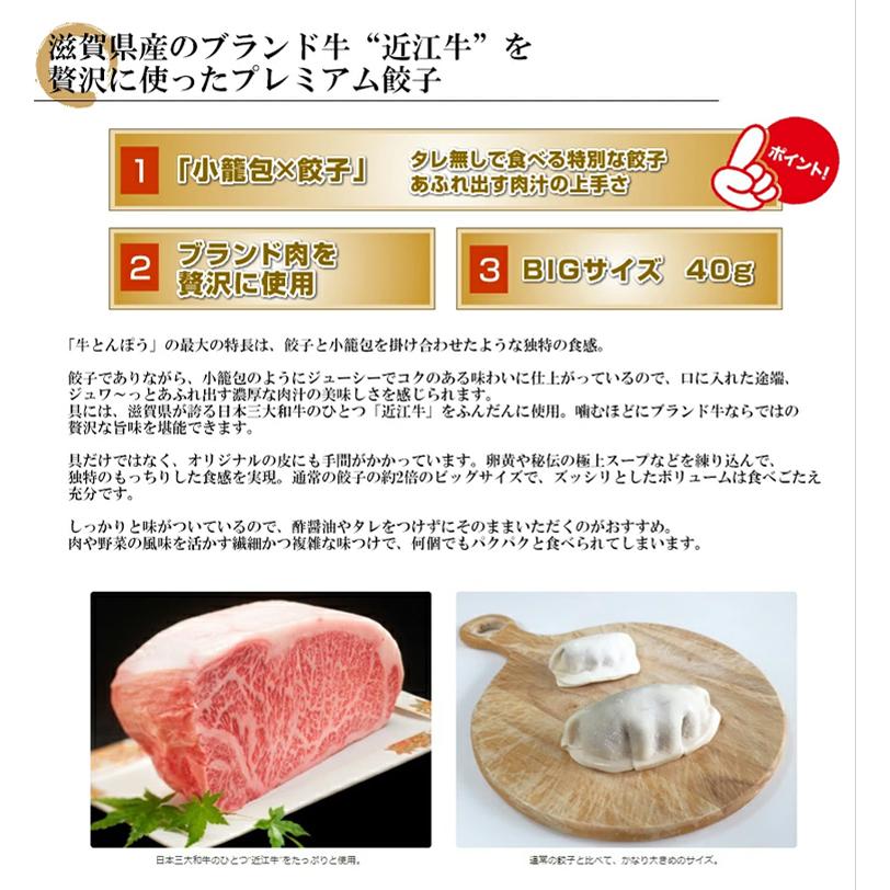 餃子 取り寄せ 肉大盛餃子 40g 20個 (10個×2P) 特大 牛とん包 paou 包王 冷凍便 同梱不可 指定日不可 産直