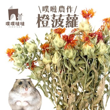 【噗噗噠噠】橙菠蘿  造景花草  倉鼠造景 花草 佈置 科養 鼠  天然花草 裝飾 墊材 鼠用品 乾燥花 三線鼠 黃金鼠