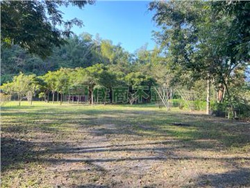 南投國姓柑子林-大坪數乙建+農地+林地｜南投縣國姓鄉柑子林段