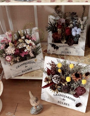 繽紛花園實木做舊框南非太陽菊米果丹斯菊干花花藝擺件diy材料包