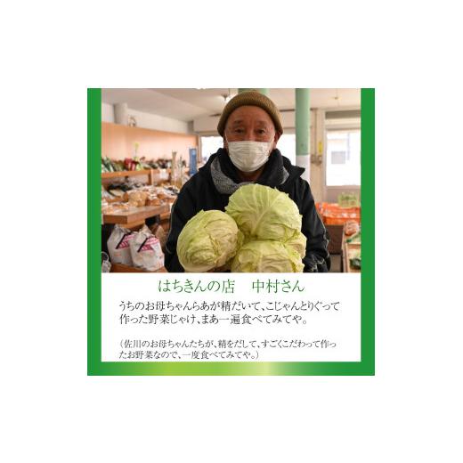 ふるさと納税 高知県 佐川町 はちきんの店 野菜 セット 7~10品 野菜詰め合わせ 詰合せ 高知の野菜 旬の野菜