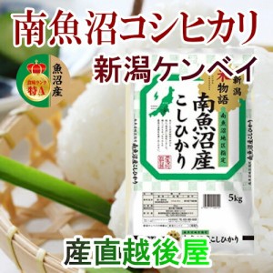 令和５年産 新米 魚沼産 コシヒカリ 新潟県南魚沼産 特Ａ地区 コシヒカリ30kg ＪＡ農協米 新潟ケンベイ産 送料無料