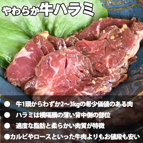 牛ハラミ ２００g （スタミナ味）