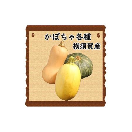 ふるさと納税 野菜セット 横須賀産 厳選 野菜 7種 詰め合わせ 神奈川県横須賀市