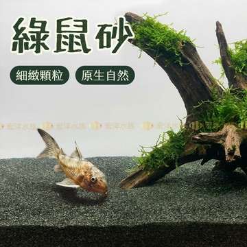 宏洋水族【魚缸底砂 綠鼠砂】水族底砂 綠泥沙 鼠魚專用底砂 細砂翻砂 底棲魚砂 水族底砂 魚缸鋪底 軟質細砂