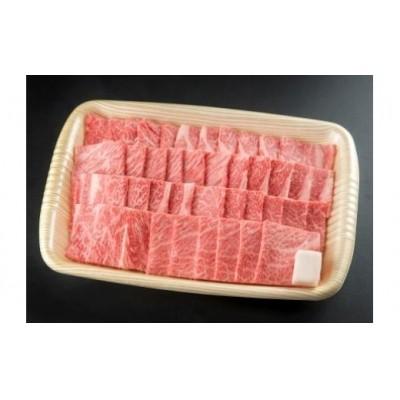 ふるさと納税 七宗町 ※HNP-07飛騨牛焼肉用飛騨牛肩ロース肉700g