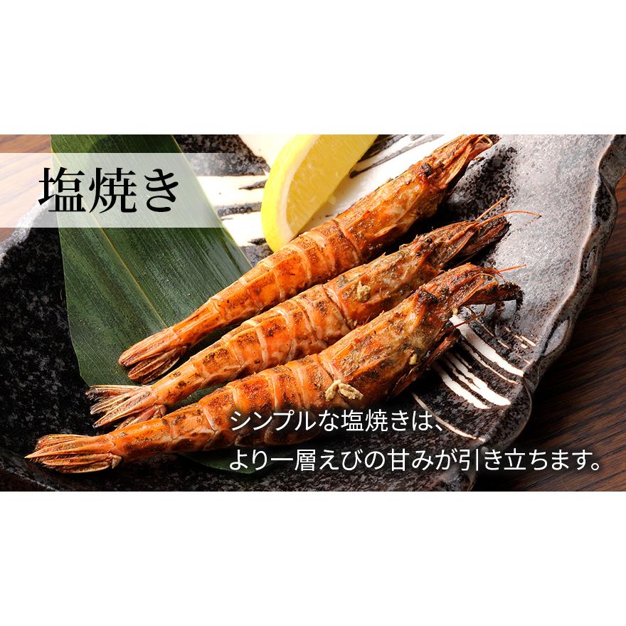 ぼたんえび 特大 海鮮 ギフト 10〜12匹 500g 冷凍 川村鮮魚店 エビ ボタンエビ   2023 プレゼント ギフト