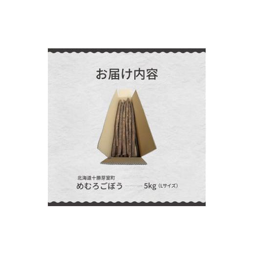 ふるさと納税 北海道 芽室町 北海道十勝芽室町 めむろごぼうＬサイズ5kg me010-015c