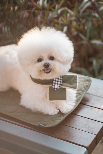 【寵物冬日必備】NECK WARMER 毛茸茸頸巾 - 軍綠色