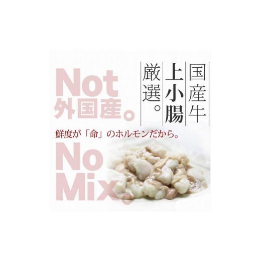 ふるさと納税 福岡県 大任町 国産牛もつ1kgオーバー！味噌もつ鍋 メガ盛り10人前[牛もつ1.05kg／味噌スープ付]