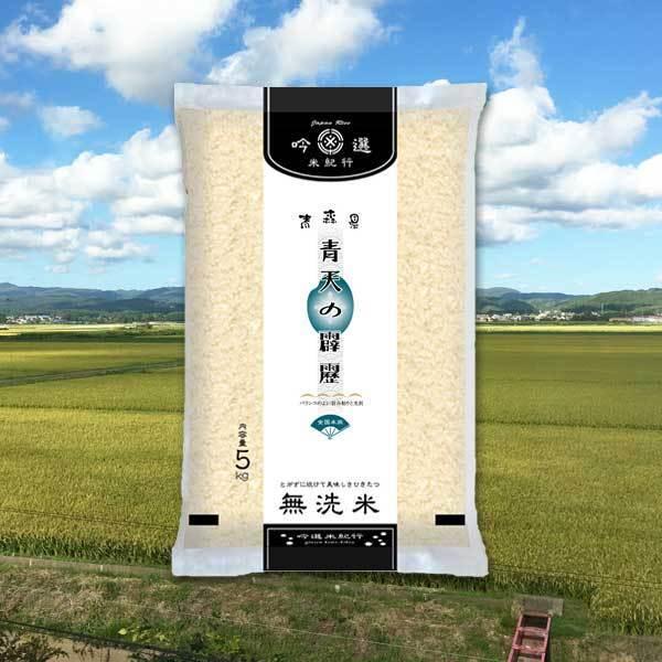 [青森米 令和4年産] 無洗米 青森県産 青天の霹靂 10kg (5kg×2袋) ピロータイプ平袋入 日本全国銘米シリーズ 白米 お米 おいしい 堀商店 ギフト対応 送料無料