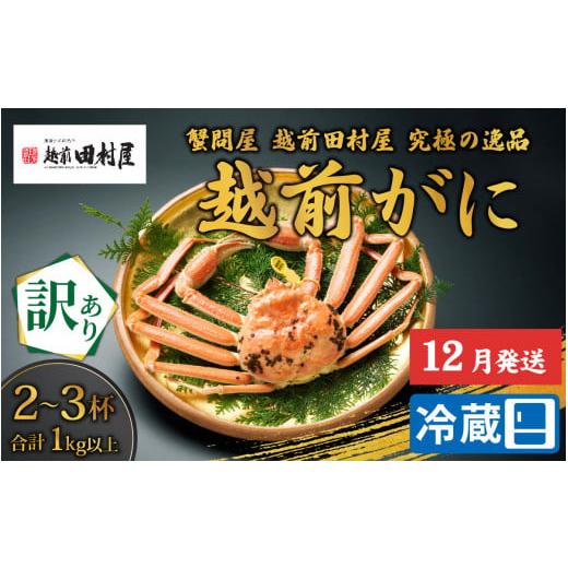 ふるさと納税 福井県 福井市 越前がに合計1kg以上（2-3杯）　2〜3人前 [J-029046]