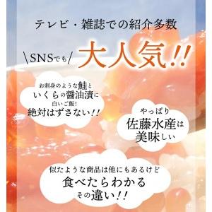 ふるさと納税 14-046 佐藤水産 北海道スモークサーモンといくら・鮭ルイべ漬 北海道石狩市