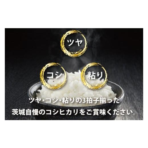 ふるさと納税 茨城県 大洗町  令和5年産 新米 茨城 コシヒカリ 10kg (5kg×2袋) ×6カ月 米 お米 おこめ 白米 ライス ご飯 精米 こしひかり 国…