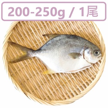 【一夫水產】產銷履歷/黃金鯧魚(200g)