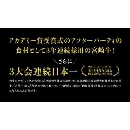 ふるさと納税 ※令和6年2月より順次発送※宮崎牛 肩ロース 焼しゃぶ 300g(宮崎県産 和牛 こま切れ 200g付)計500g【牛 肉 牛肉 牛 国.. 宮崎県川南町