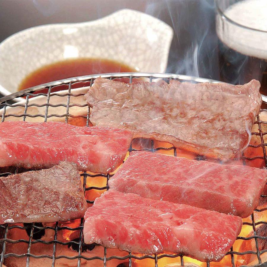 岐阜 飛騨牛焼肉 焼肉用モモ・バラ250ｇ 