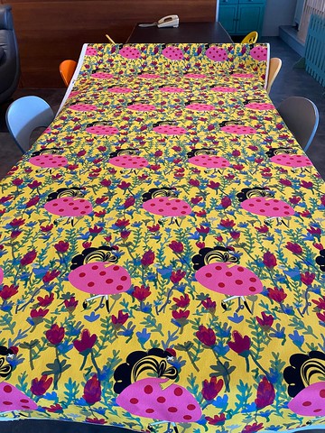 我的單人華爾茲帆布10N