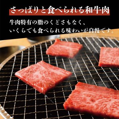 ふるさと納税 雲南市 奥出雲和牛肩ロース焼肉用 600g 和牛オリンピック「第1位」「脂肪の質」W受賞!