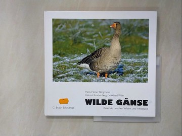 【書寶二手書T3／動植物_ZFN】Wilde Ganse_Hans-Heiner Bergmann, Helmut Kruckenberg, Volkhard Wille