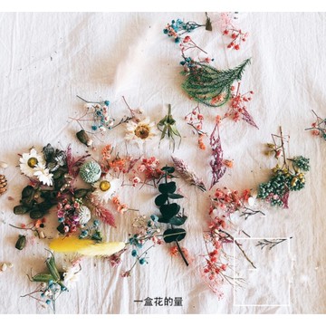 【巨路生活】蠟燭 乾燥花花材 手工藝花材  現貨在台 DIY手作 蠟燭香薰 佈置裝飾永生花材乾燥花 🌼零碎