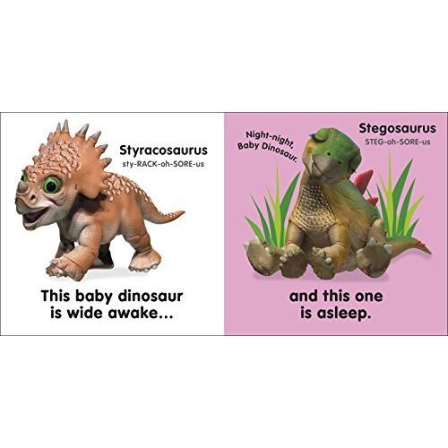 Baby Touch and Feel: Baby Dinosaur