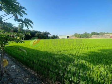 夏田產業園區臨40米路農地投資節稅徵收分配｜台中市霧峰區五福北段