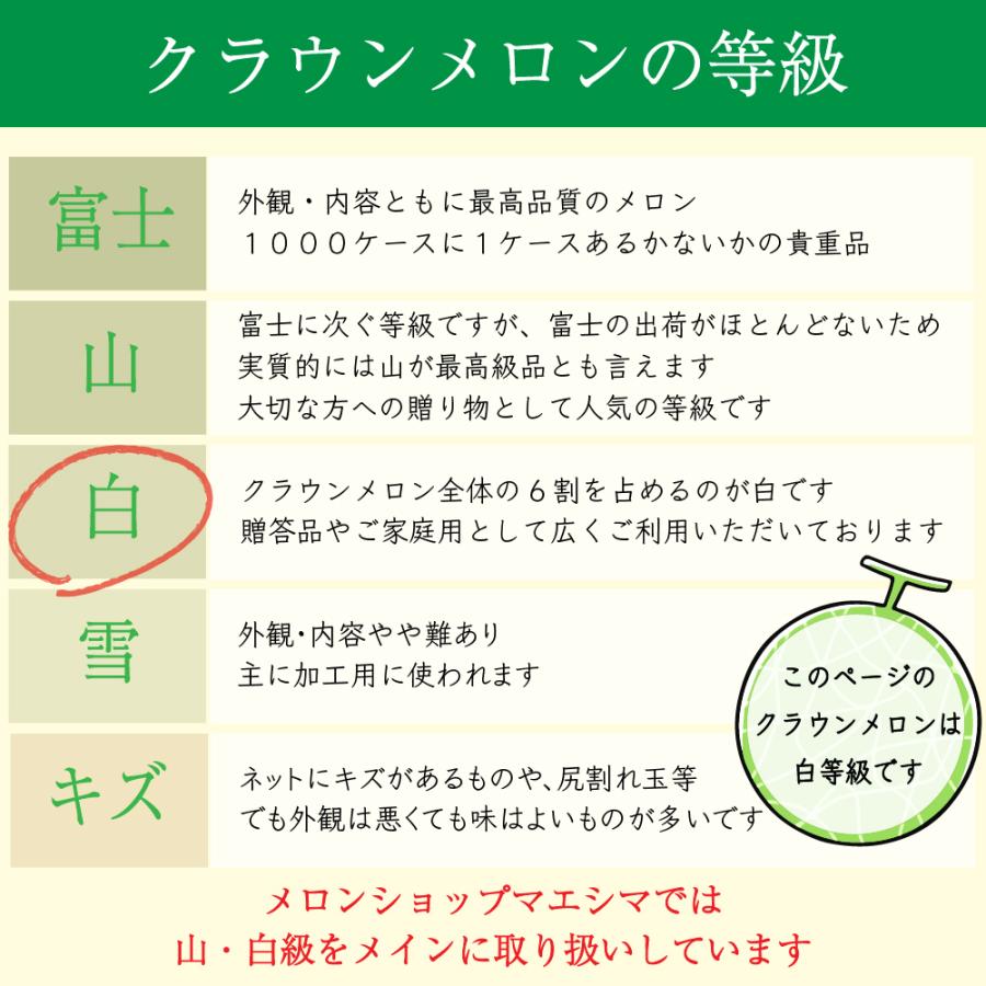 フルーツ・メロン 生ハムメロンセット (クラウンメロン白等級1玉×生ハム(コッパ×3) 生ハム コッパ 静岡県産 マスクメロン 内祝い 母の日 贈答