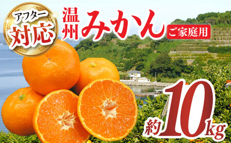 みかん 約10kg（100～120個）    長与町 ＜長崎西彼農業協同組合 長与支店＞ 温州みかん みかん10kg 温州  [EAH003]