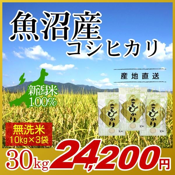 魚沼産 コシヒカリ 無洗米 30kg(10kg×3袋)／新米 米 お米 新潟米 新潟 コシヒカリ 白米 精米 南魚沼産 高級米 ブランド米