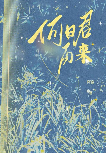 【電子書】何日君再来