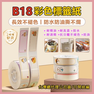 B18/N1 標籤紙 台灣總代理公司現貨 精臣標籤貼紙 標籤機貼紙 熱轉印標籤貼紙 姓名貼 彩色標籤紙 防水防油不易掉