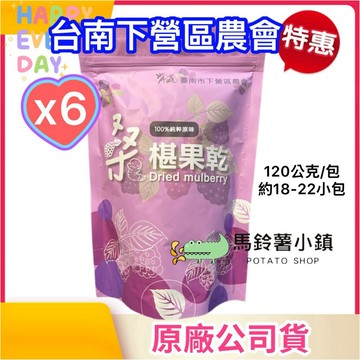 6袋下單區🎈【新品上市-隨身包】下營區農會 桑椹果乾 120克 桑椹 桑葚 果乾 桑葚果乾 農會 蜜餞 熱賣 果乾 果干