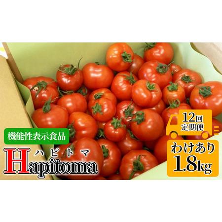 ふるさと納税 機能性表示食品 Hapitoma ハピトマ 訳あり（1.8kg）健康 ヘルシー 人気 厳選  静岡県袋井市