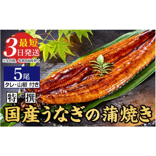 ふるさと納税 茨城県 土浦市 国産のうなぎ蒲焼き5尾※離島への配送不可