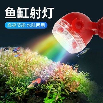 🔥限時優惠🔥led新款魚缸  燈  超亮防水潛射  燈  小型遙控變光氛圍  燈  水下七彩增豔  燈