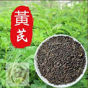 台灣現貨（黃芪種子）純新優質鐵桿黃芪籽錦稈黃芪籽精選乾淨無雑中藥材籽 抗旱植物藥材 多年生鐵桿軟秸新棉芪綿芪四季播種