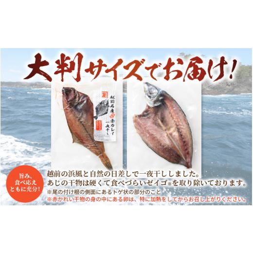 ふるさと納税 福井県 越前町 [e14-x003_03] 浜茹で 紅ずわいがに 2杯  大判干物「赤かれい・あじ」セット【越前産 紅ズワイガニ カニ かに 蟹 …