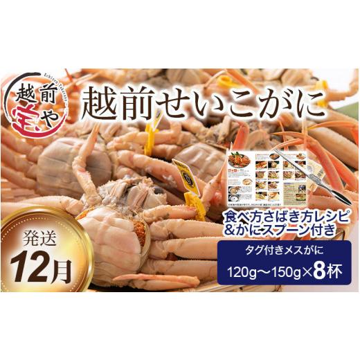 ふるさと納税 福井県 福井市  ボイル済 越前せいこ蟹／セコガニ（メス） 120〜150g×8杯[F-0…