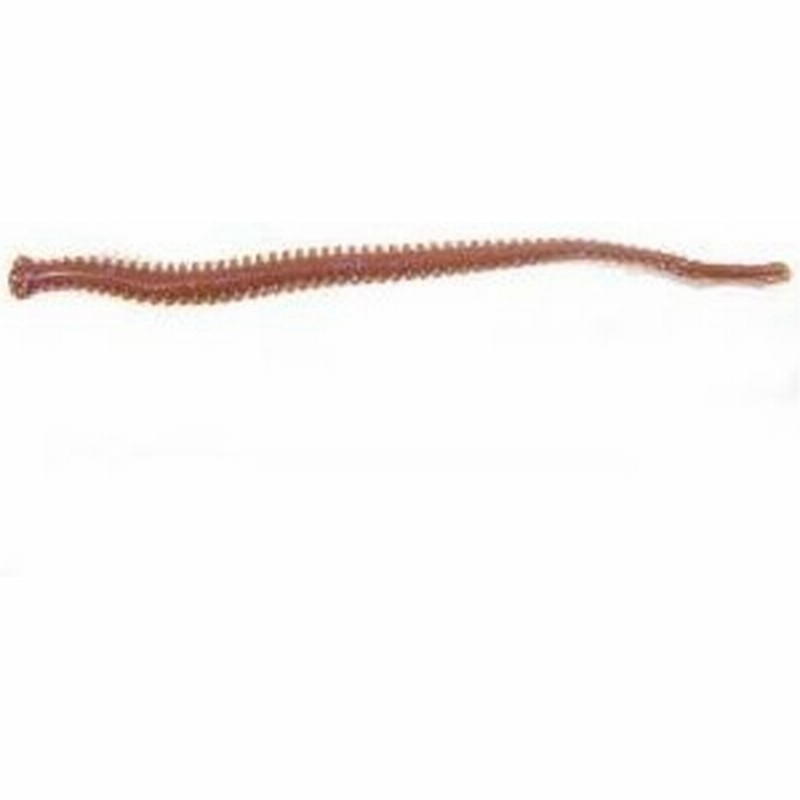 バークレイ ガルプ サンドワーム 4インチ イシゴカイ Dbr ブラウン 化粧箱タイプ 通販 Lineポイント最大0 5 Get Lineショッピング