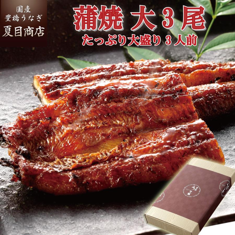 うなぎ 鰻 国産 プレゼント ギフト 蒲焼き 155-167g×3尾 大盛3人前 化粧箱 送料無料 お歳暮 贈り物 誕生日 内祝い