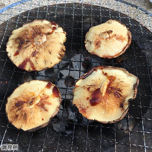 大分県産特別限定セット 生しいたけ＆特品しいたけ＆干し椎茸(かぼす胡椒付) 由布のしいたけ 送料込