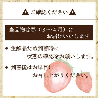 ふるさと納税 太宰府市 博多あまおう6パック(春)『2024年3〜4月発送』(太宰府市)